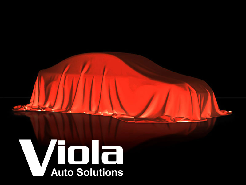 Elenco Veicoli della Viola Auto Solutions srl